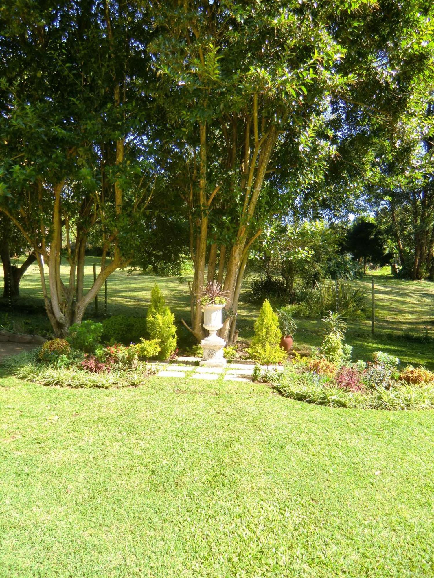 Warrens Guest House Hillcrest Rum bild